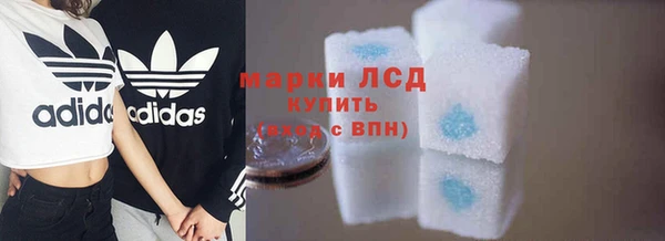 эйфоретик Арсеньев
