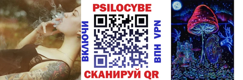 МЕГА tor  где купить наркоту  дарк нет как зайти  Псилоцибиновые грибы GOLDEN TEACHER  Семилуки 