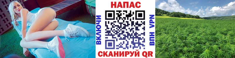 купить  сайты  Семилуки  Канабис тримм 